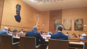 pleno diputación enero 2024